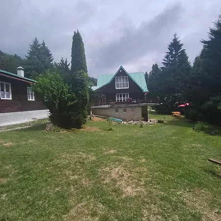 Grizzly Krpáčovo Izba 1 *